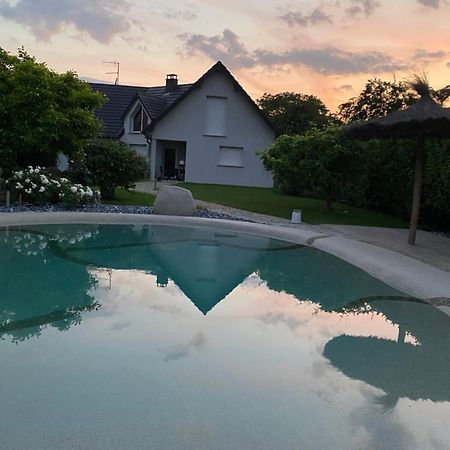 Grande Maison Au Calme Ensisheim Esterno foto