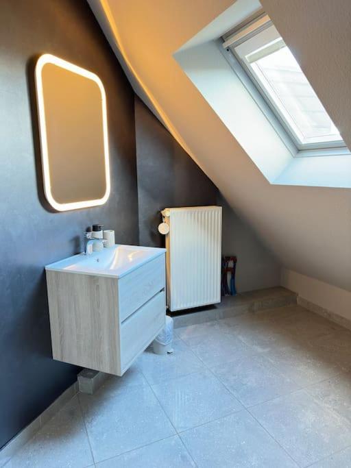Grande Maison Au Calme Ensisheim Esterno foto