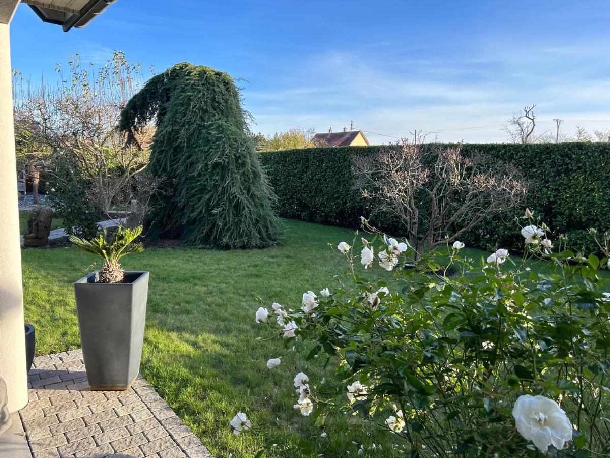 Grande Maison Au Calme Ensisheim Esterno foto